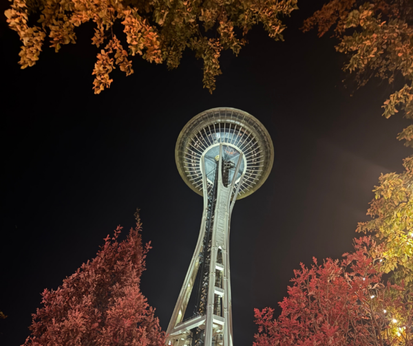 Night Photograph of the Underside of the Space Needle in Seattle Center from the Sidewalk below. Fall Foliage on Tree Branches Frame edges of the the Scene.